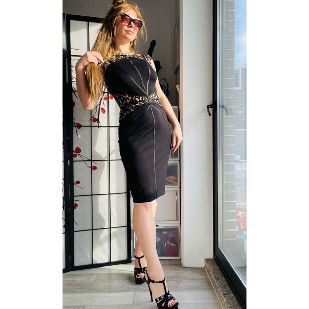 Tadashi Shoji Black Lace Bodycon Dress - Picture 5 of 10